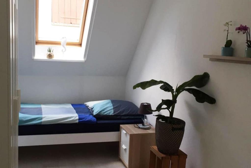 22B Grosse Wohnung Mit Balkon, Smarttv Und Wlan Korb Eksteriør bilde